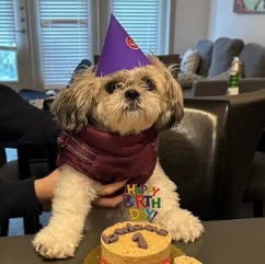 Makko’s Morning custom dog birthday cake in San Antonio TX