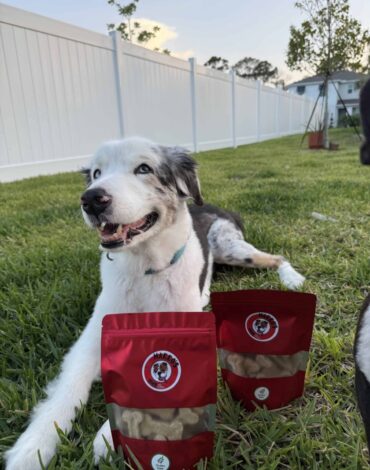 Happy dog from Florida enjoying Makko’s Snack natural treats outdoors
